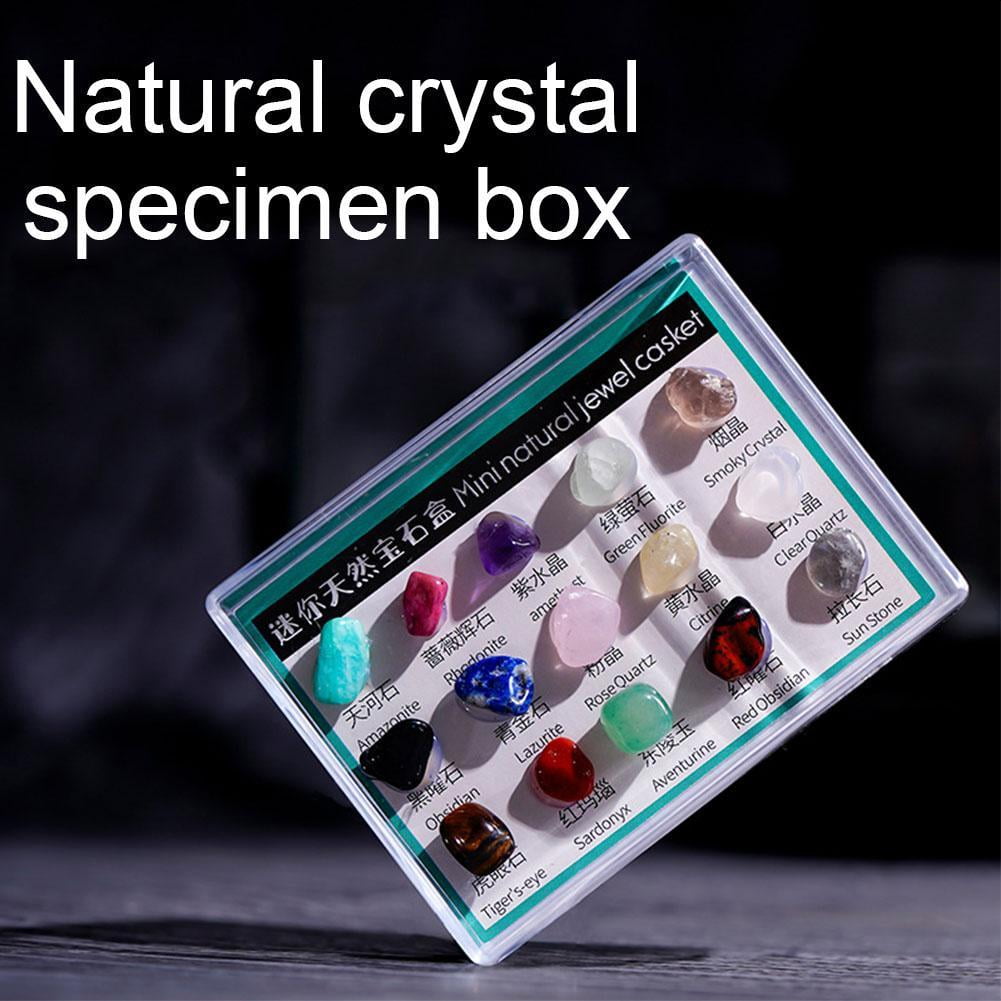 15/24 pcs Rock Gems In Collection Box Crystal Natural Mineral Gift DIY йд аτ ◇у 9CT1