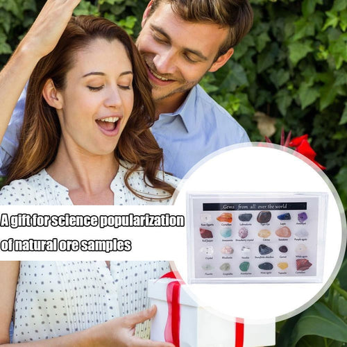 15/24 pcs Rock Gems In Collection Box Crystal Natural Mineral Gift DIY йд аτ ◇у 9CT1